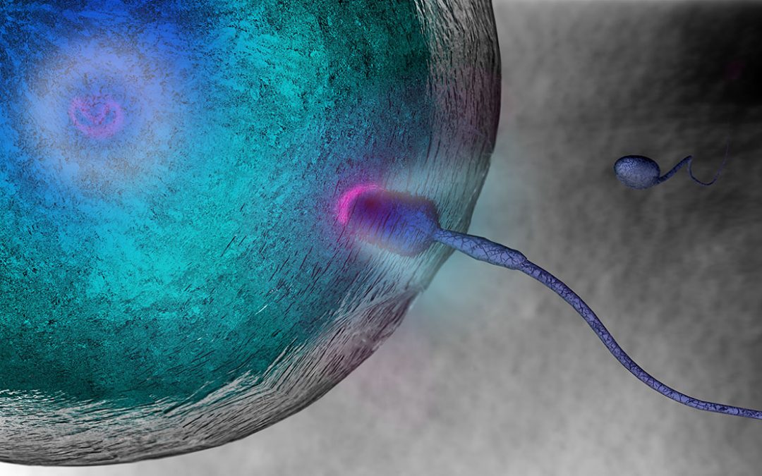 New Study:  Most Biologists Believe Life Begins at Conception