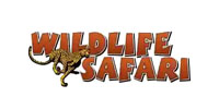 wildlife safari