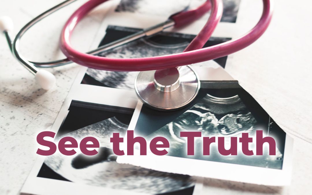 FACT SHEET: Women’s Healthcare in a Post-Planned Parenthood Funding Landscape